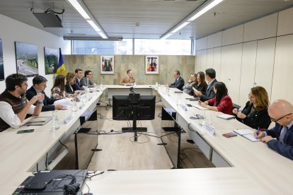 Xavier Espot, Raul Ferré i Guillem Casal en la reunió avui amb els cònsols pels estudis de càrrega