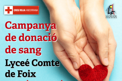 Cartell Campanya de Donació de Sang Lycée Comte de Foix