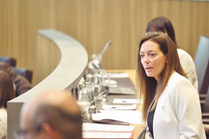 La ministra de Salut, Helena Mas, al Consell.