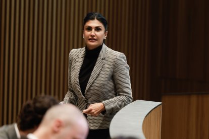 Carine Montaner en una sessió de Consell General