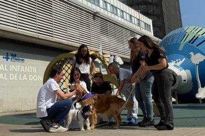 Teràpia assistida amb gossos al Vall d’Hebron.