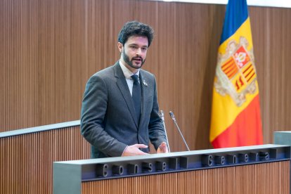 El president del grup parlamentari de Concòrdia, Cerni Escalé, al Consell General aquest matí.