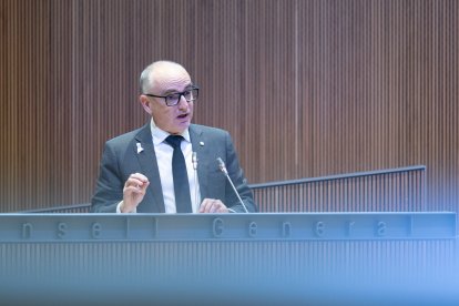 Lladós al Consell General, avui