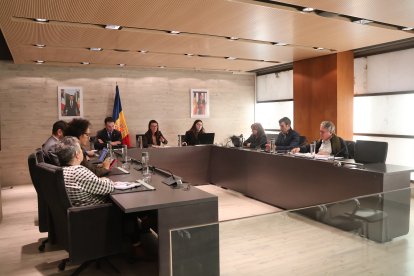 Sessió de consell de comú d’ahir.