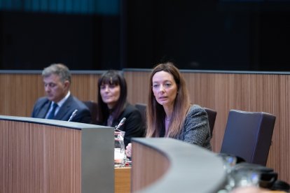 La ministra de Salut, Helena Mas, a la sessió del Consell General d'aquest matí.