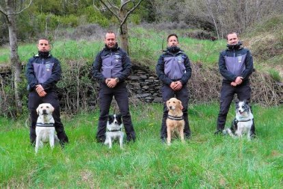 El grup caní del cos de banders.