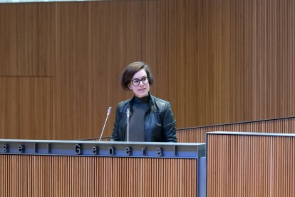 La consellera de Concòrdia Núria Segués durant la sessió del Consell General aquest matí