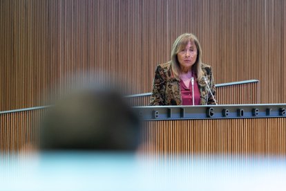 Marsol dirigint-se a Pere Baró, ahir al Consell.