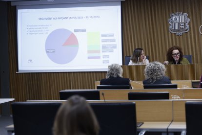 Judith Pallarés en la compareixença avui al Consell General