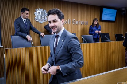 Ferré, Casal i Bonell al Consell General