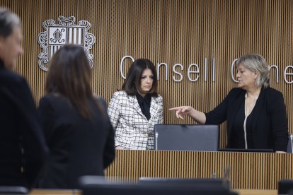 Imma Tor, avui, a la compareixença al Consell General.