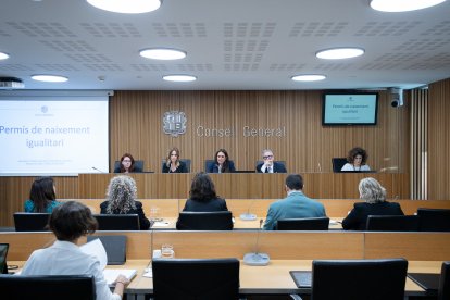 Mariona Cadena va presentar el projecte de llei als consellers.