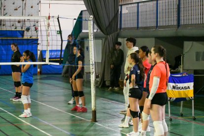 Selecció de vòlei pista.