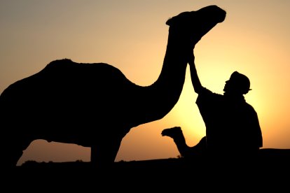 El camell és un aliat indispensable per a la supervivència dels pobles nòmades del Sàhara.