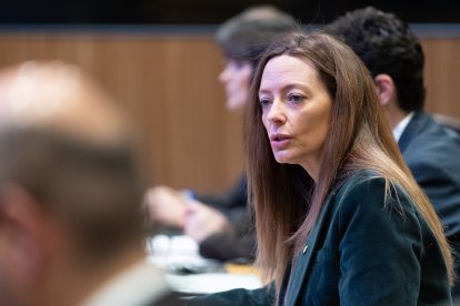 Helena Mas avui al Consell General