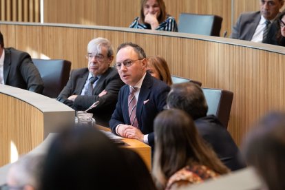 Espot a la sessió de Consell General