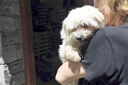 Un gos amb la seva propietària.