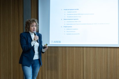 La presidenta de l'AREB, Sílvia Cunill, en la compareixença avui al Consell General