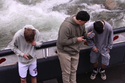 Les principals xarxes permeten obrir un compte als 13 anys.