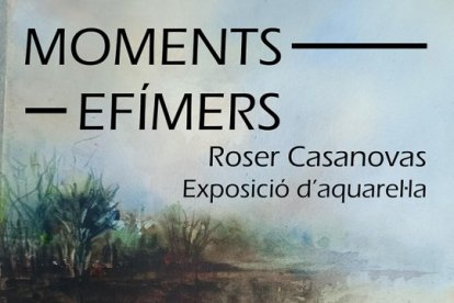 MOMENTS EFÍMERS