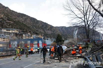 Operaris treballant per retirar l'arbre caigut a l'avinguda Salou.