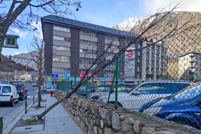 Un arbre arrencat pel vent a Andorra la Vella.