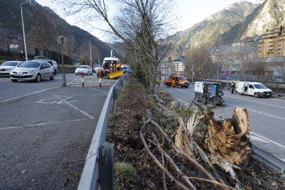 La zona on ha caigut l'arbre que ha provocat el tall de la General 1 a l'avinguda Salou.