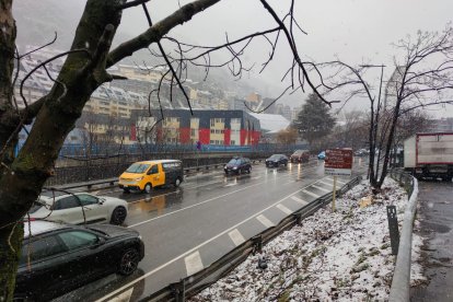 Poda d'un arbre a l'avinguda Salou per sanejar la via