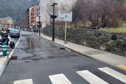 Els rocs caiguts a la carretera a la zona de la plaça Rocacorba.