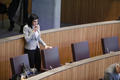 Carine Montaner al Consell General.