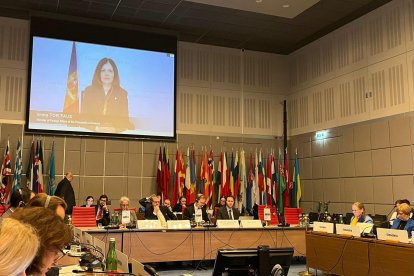 La ministra d'Afers Exteriors, Imma Tor, en la compareixença telemàtica a l'OSCE.