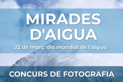 El cartell del concurs.