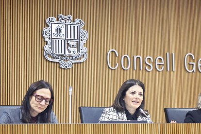 Imma Tor al Consell General.