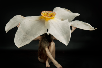 Una fotografia de l’exposició.