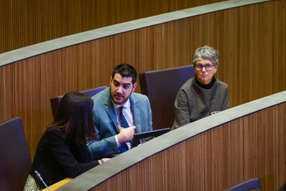 La presidenta del grup socialdemòcrata, Susanna Vela, al Consell.