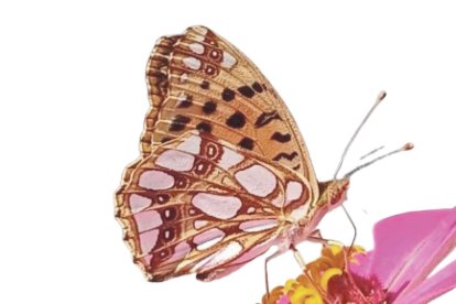 La natura