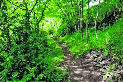 Caminar per la muntanya.