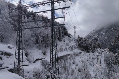 Dues torres de la xarxa elèctrica de FEDA de la línia del camí ral que es volen soterrar.