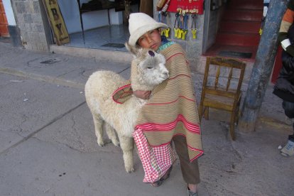 El nen amb l'alpaca de Chivay (Perú) que va sorprendre Francesc Figuera