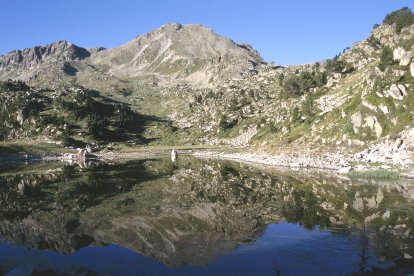 Els imprescindibles de Jeannot Martinho