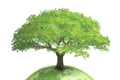 Els imprescindibles de Jeannot Martinho