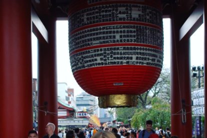 Els imprescindibles d'Eva Rodríguez