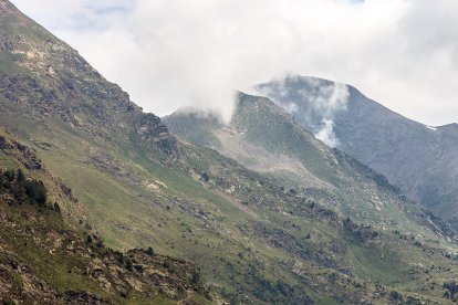 Els imprescindibles d'Eva Rodríguez