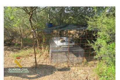 Les gàbies volien servir d'esquer per a capturar animals salvatges