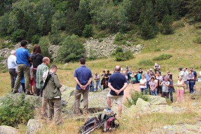Ordino celebra la bona salut i increment de les explotacions de bestiar