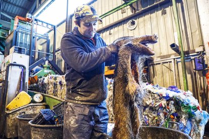 Una de les sorpreses de la jornada: un cap i la pell d'un porc senglar.