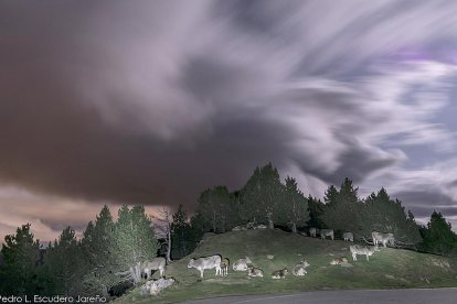 Pedro Luis Escudero. La Massana