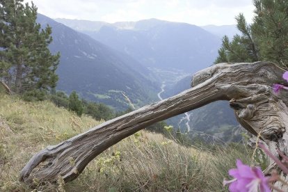 Dolors Capdevila. Canillo