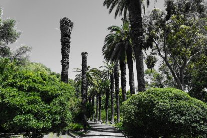 Paulo Miranda. Lisboa