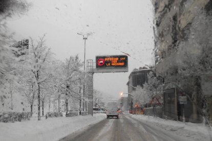 Què diu la xarxa de la gran nevada?